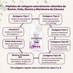 ✨ COLLAGENX® | Péptidos de Multicolágeno Avanzados 🌸